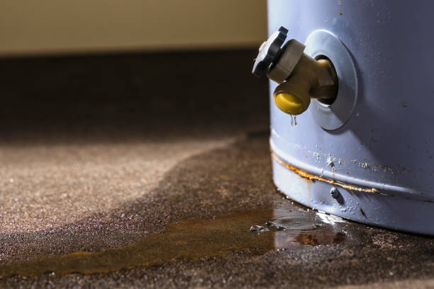 Best Ceiling water damage repair  in Wells Branch, TX
