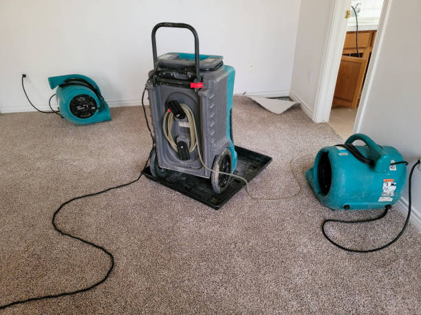 Best Water damage contractors near me  in Wells Branch, TX