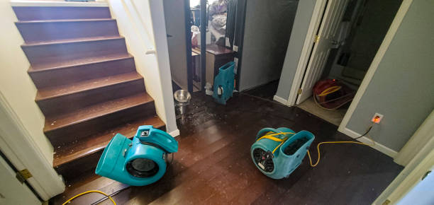 Best Ceiling water damage repair  in Wells Branch, TX