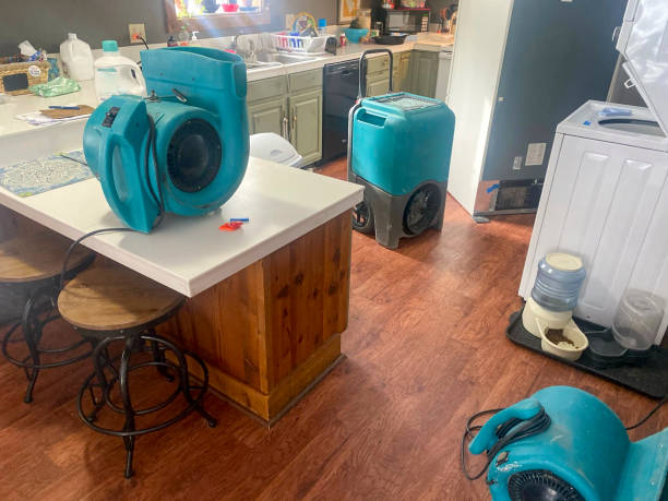Best 24/7 water damage repair  in Wells Branch, TX