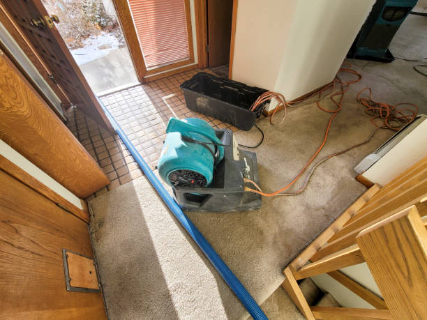 Best Water damage cleanup near me  in Wells Branch, TX