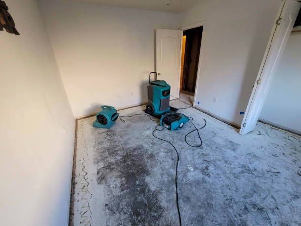 Best Emergency water damage restoration  in Wells Branch, TX