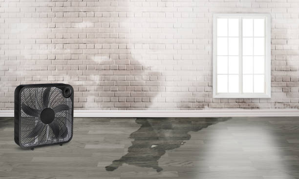Best Water damage restoration near me  in Wells Branch, TX