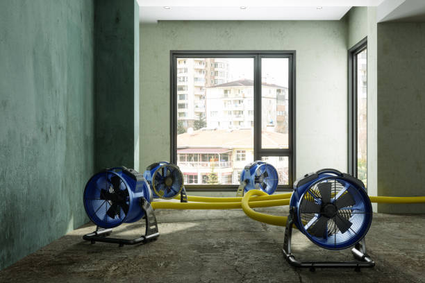 Best Carpet water damage restoration  in Wells Branch, TX
